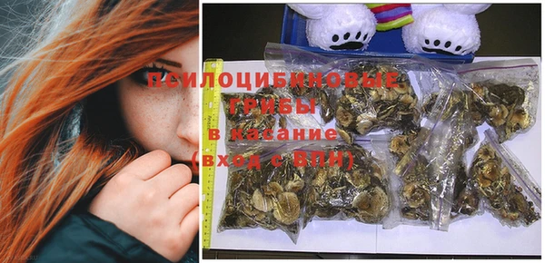 mdma Богданович