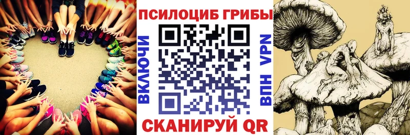 Псилоцибиновые грибы ЛСД  где продают наркотики  Горнозаводск 